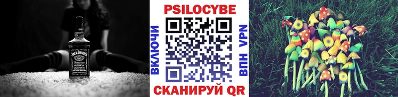 Псилоцибиновые грибы мицелий  Галич 
